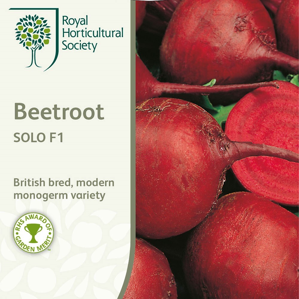 Vegetable RHS Beetroot Solo F1-250 Seeds Mr Fothergills